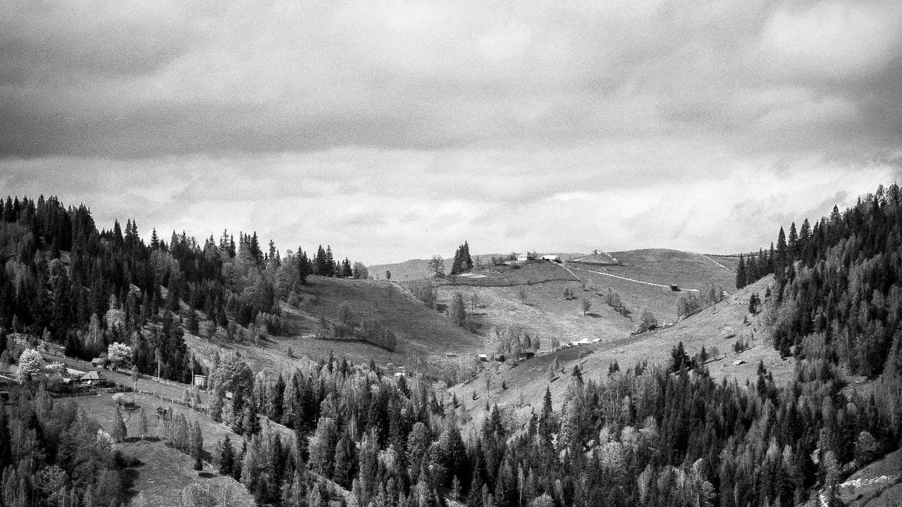 Your Quantum Leap: A How-To Guide for Riding India's Emerging Tech Wave