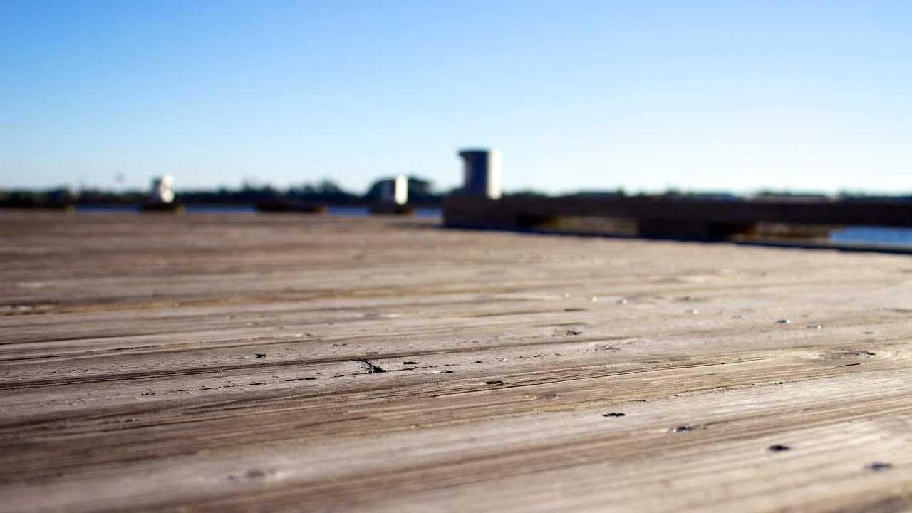 Unlocking Growth: Top 5 SAP Essentials for Indian Enterprises in the Cloud Era