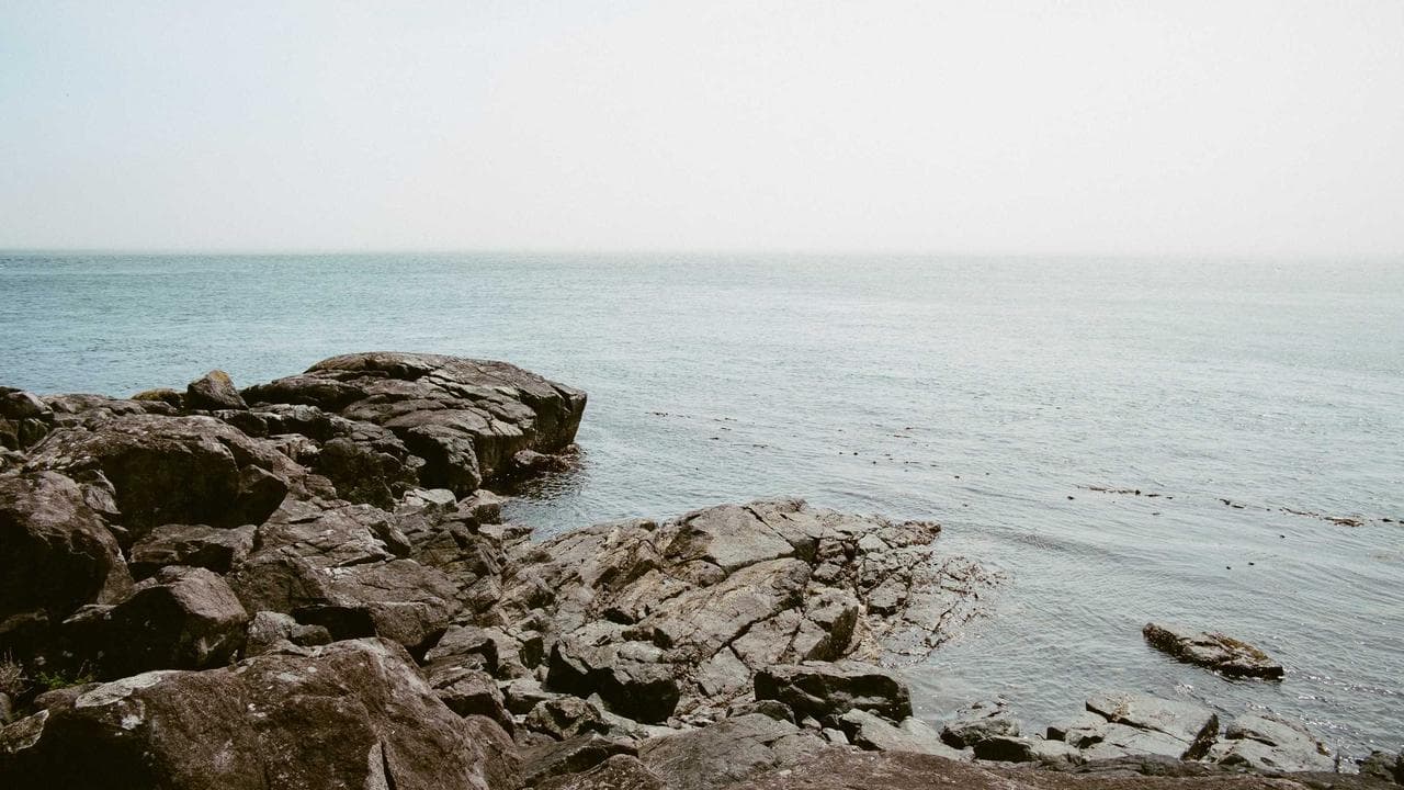 SAP Unpacked: An In-depth Review of Enterprise Solutions & Cloud for Indian Businesses