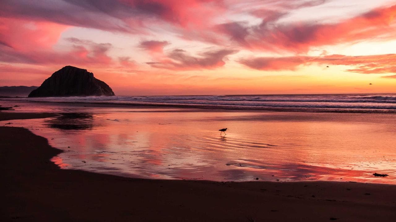 India's Tech Pulse: An In-Depth Dive into Laptops, Smart TVs, Wearables & TWS Earbuds