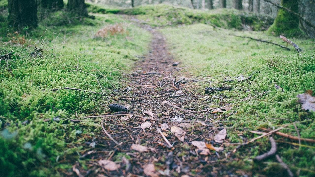 The Smart Indian Home: An In-Depth Review of Speakers, IoT, and Security Solutions