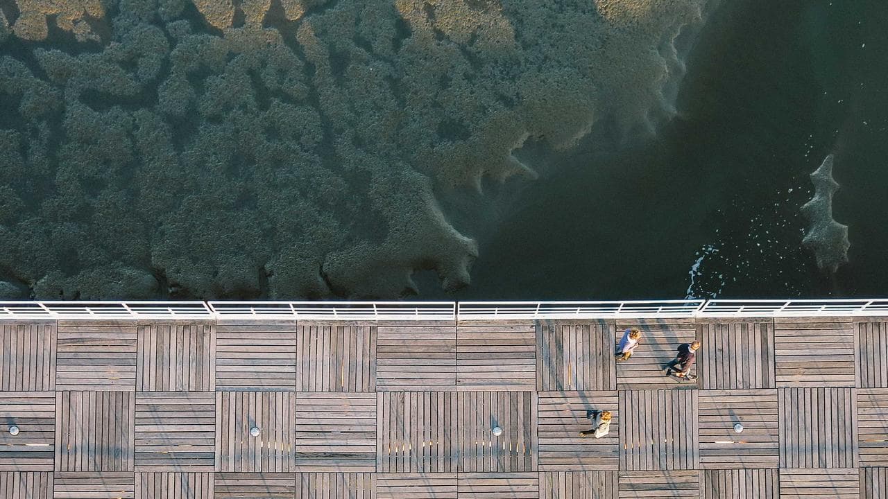 Future-Proofing Your Abode: Top 5 Smart Home Essentials for Indian Homes