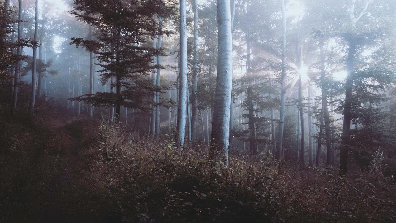 Smart Home India: Your Ultimate How-To Guide to Building a Connected & Secure Abode with IoT