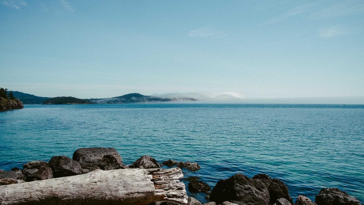 Your Ultimate Guide: Navigating India's Electronics Market for Laptops, Smart TVs, Wearables & TWS