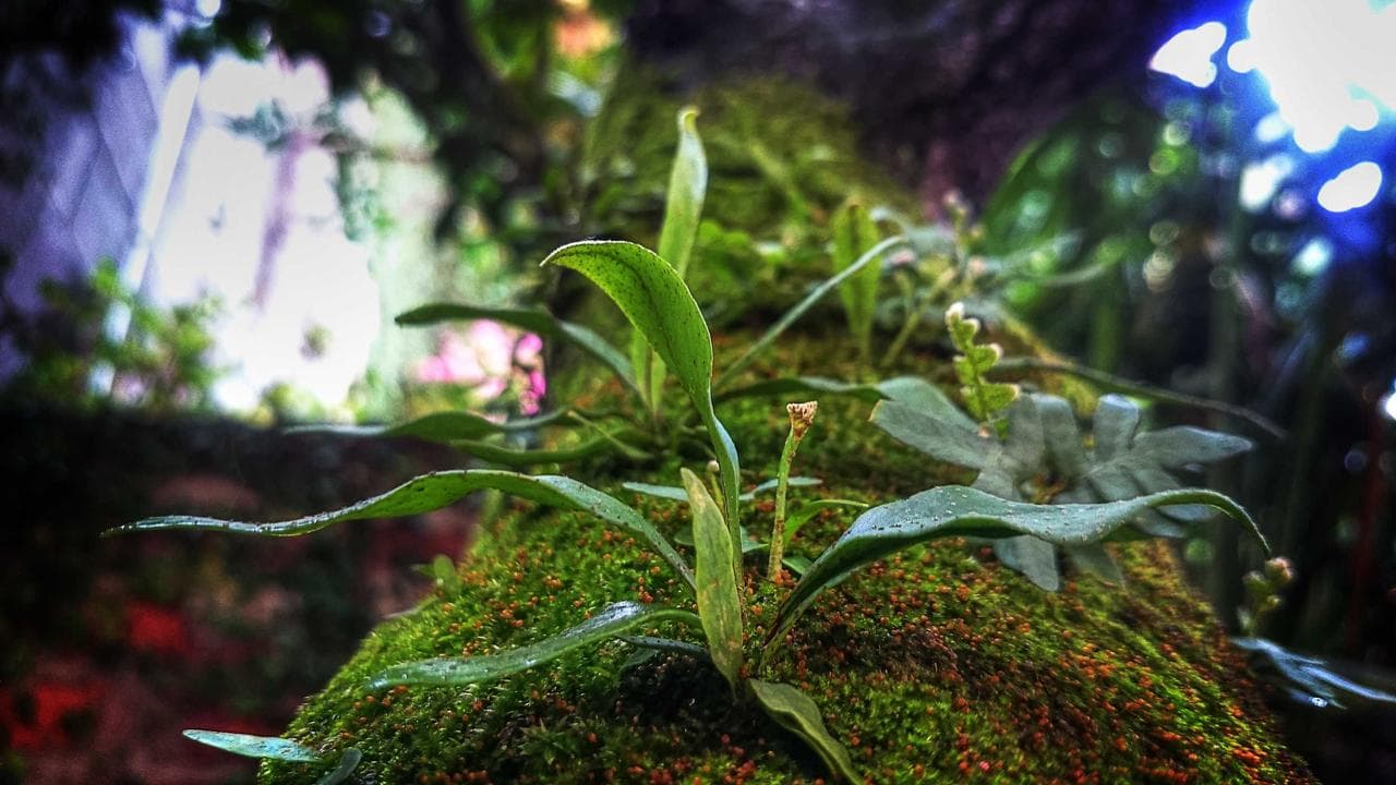 Smart Home India: Your Ultimate How-To Guide to Building a Connected Abode