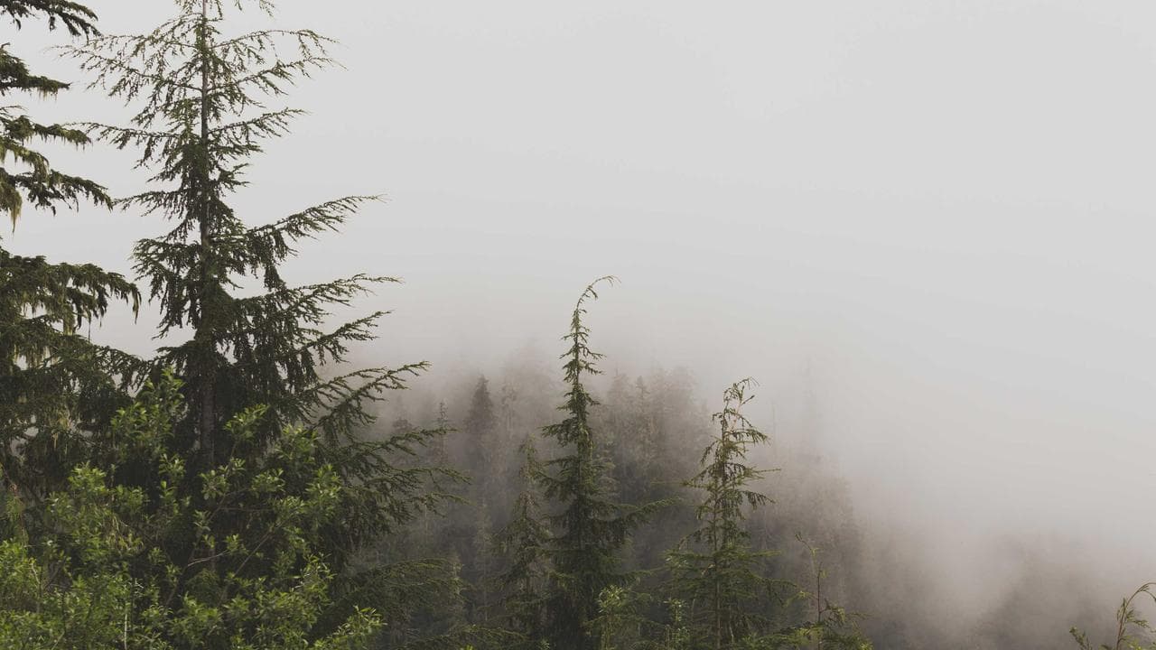 How to Thrive in India's AI Revolution: Your Practical Guide to Generative AI & Tools