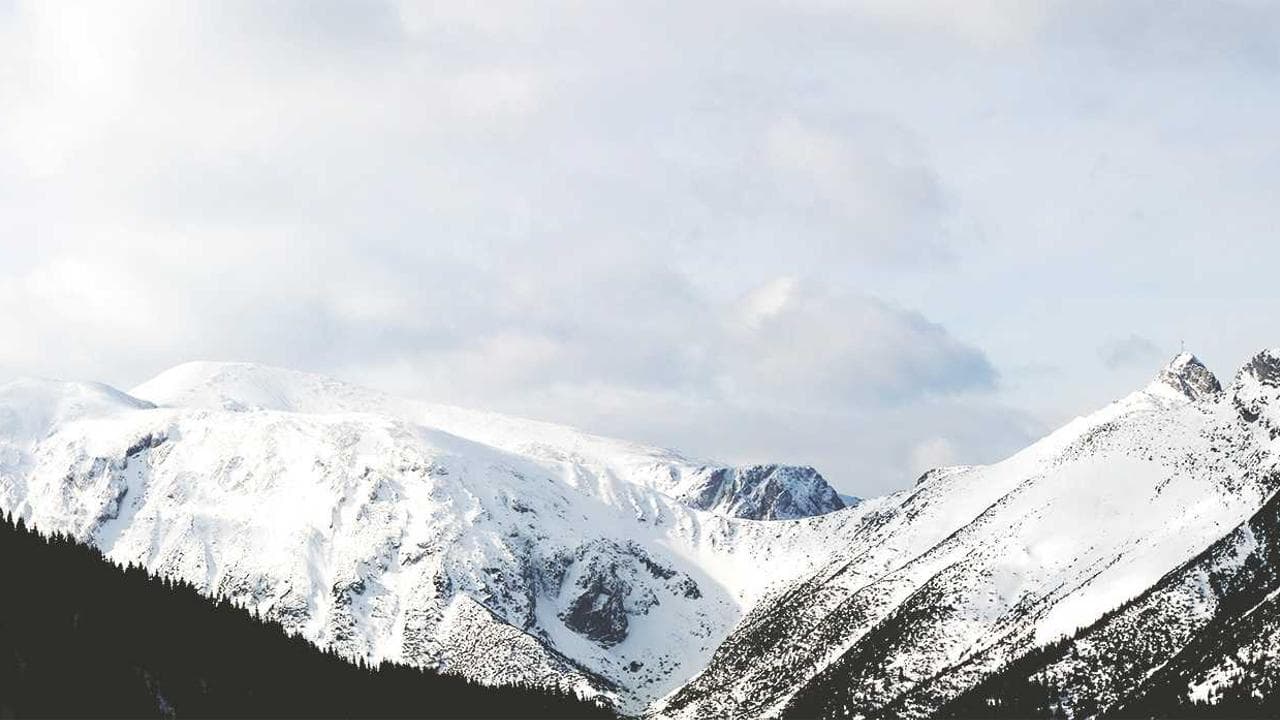 India's Digital Pulse: An In-depth Review of Laptops, Smart TVs, Wearables & TWS Earbuds