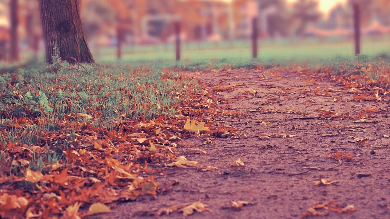 India's Tech Pulse: Tracking the Hottest Trends in Laptops, Smart TVs, Wearables, and TWS!