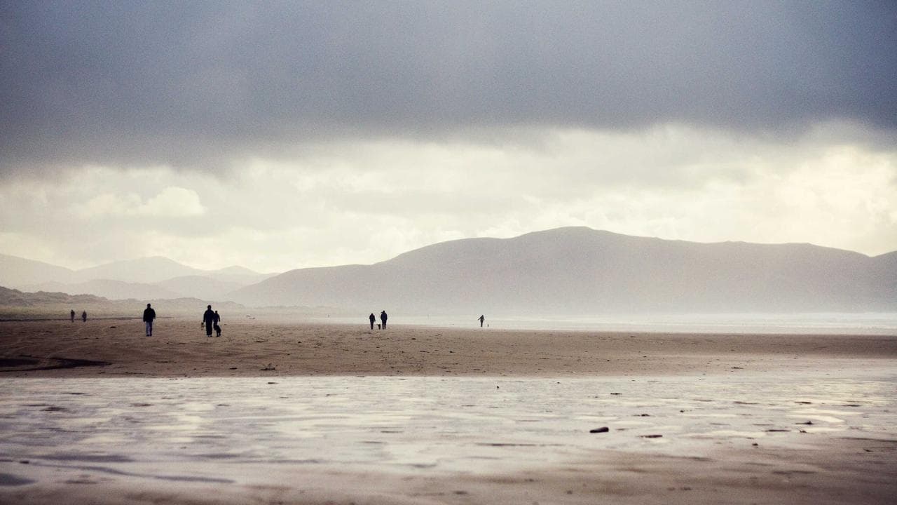 Your Ultimate Guide to Buying and Thriving with an Electric Car in India