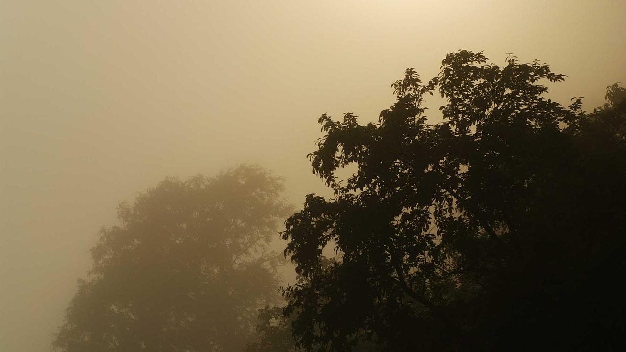 The Great Indian EV Race: Tata, Mahindra, Charging Up, and the Road Ahead