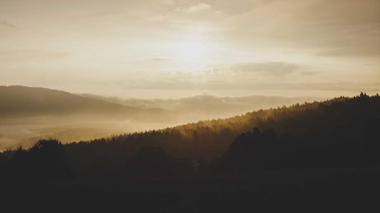 Electrifying India: An In-Depth Review of Tata, Mahindra EVs & India's Charging Revolution