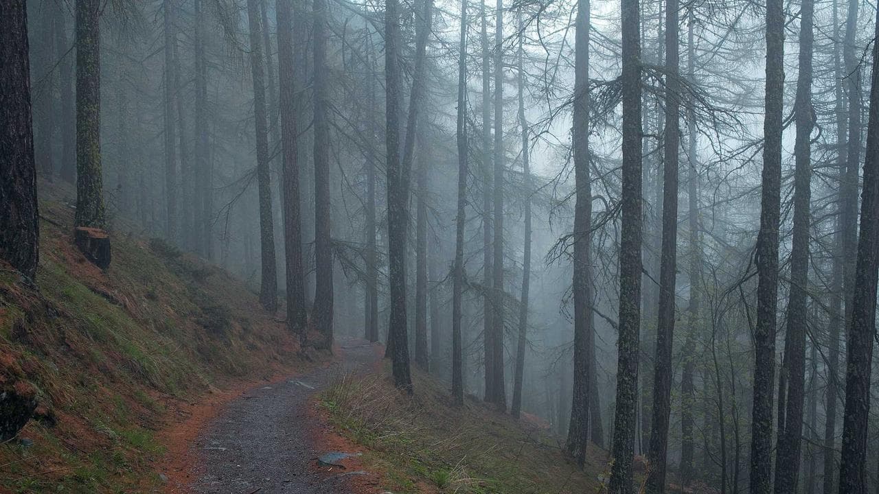 India's Electric Revolution: An In-Depth Review of Tata, Mahindra, Charging & The Road Ahead