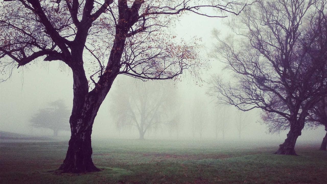 Top 5 Smartphones Dominating India: Budget to 5G Powerhouses You Can't Miss!