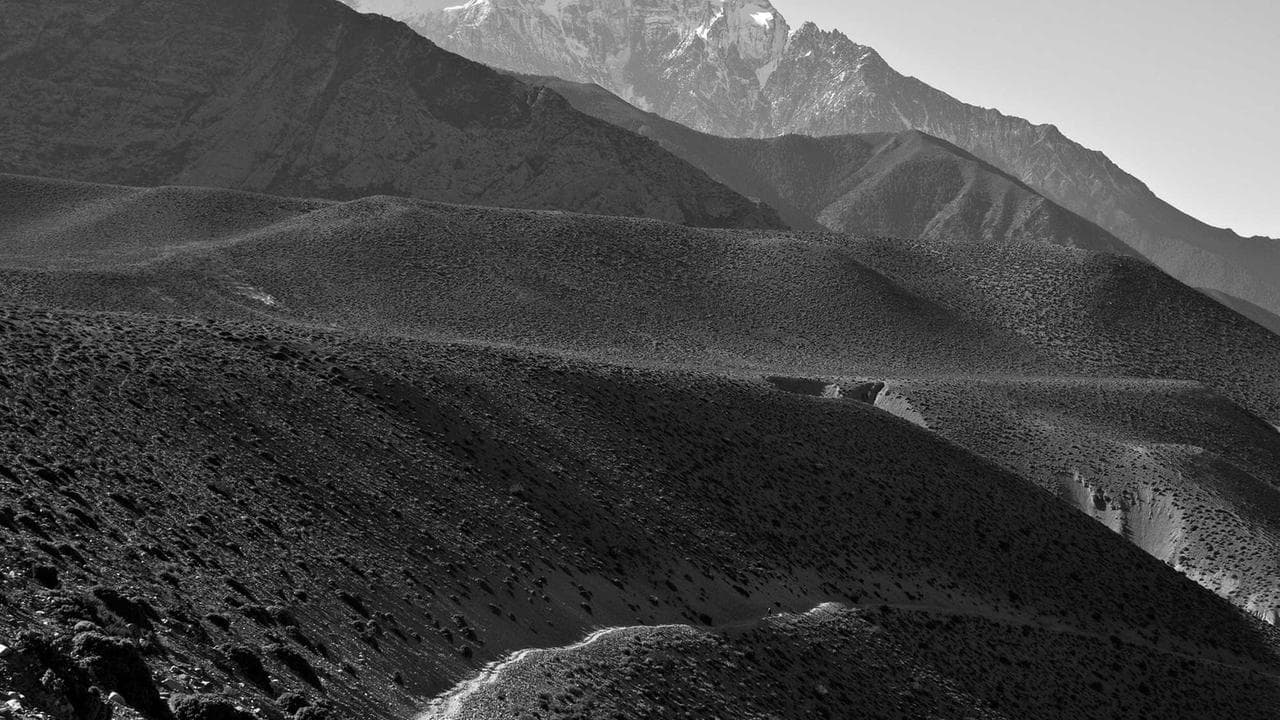 India's Smartphone Arena: Your Ultimate 5G & Budget Battleground Guide