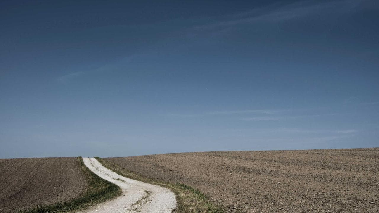 The Great Indian Smartphone Showdown: Decoding 5G, Budget Kings & Your Next Mobile Upgrade