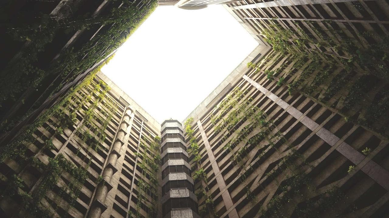 Navigating India's AI Tsunami: A Quantum Comparison of Trends & Tools