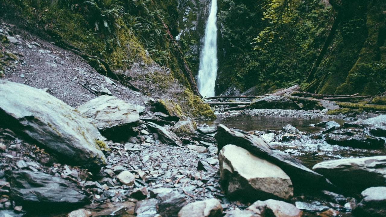 India's Tech Tsunami: Decoding the Hottest Emerging Trends Shaping Our Future